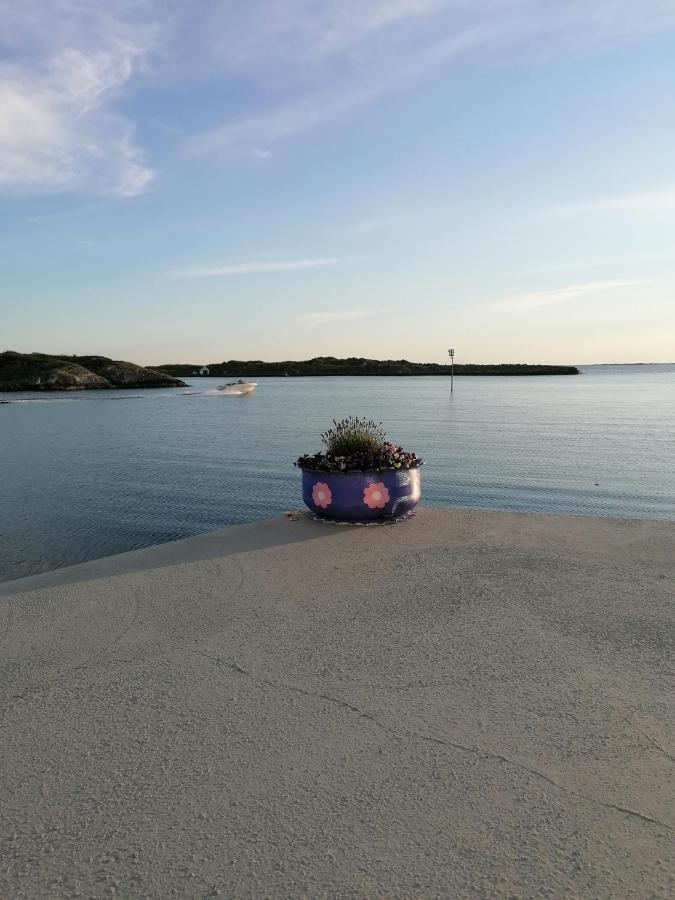 Seaview Apartment Karmoy Sæveland Εξωτερικό φωτογραφία