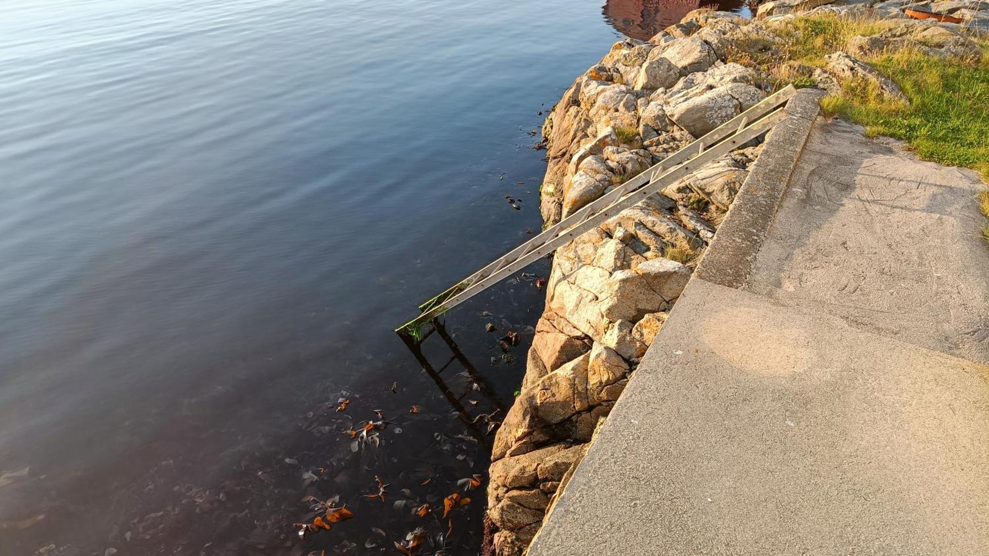 Seaview Apartment Karmoy Sæveland Εξωτερικό φωτογραφία